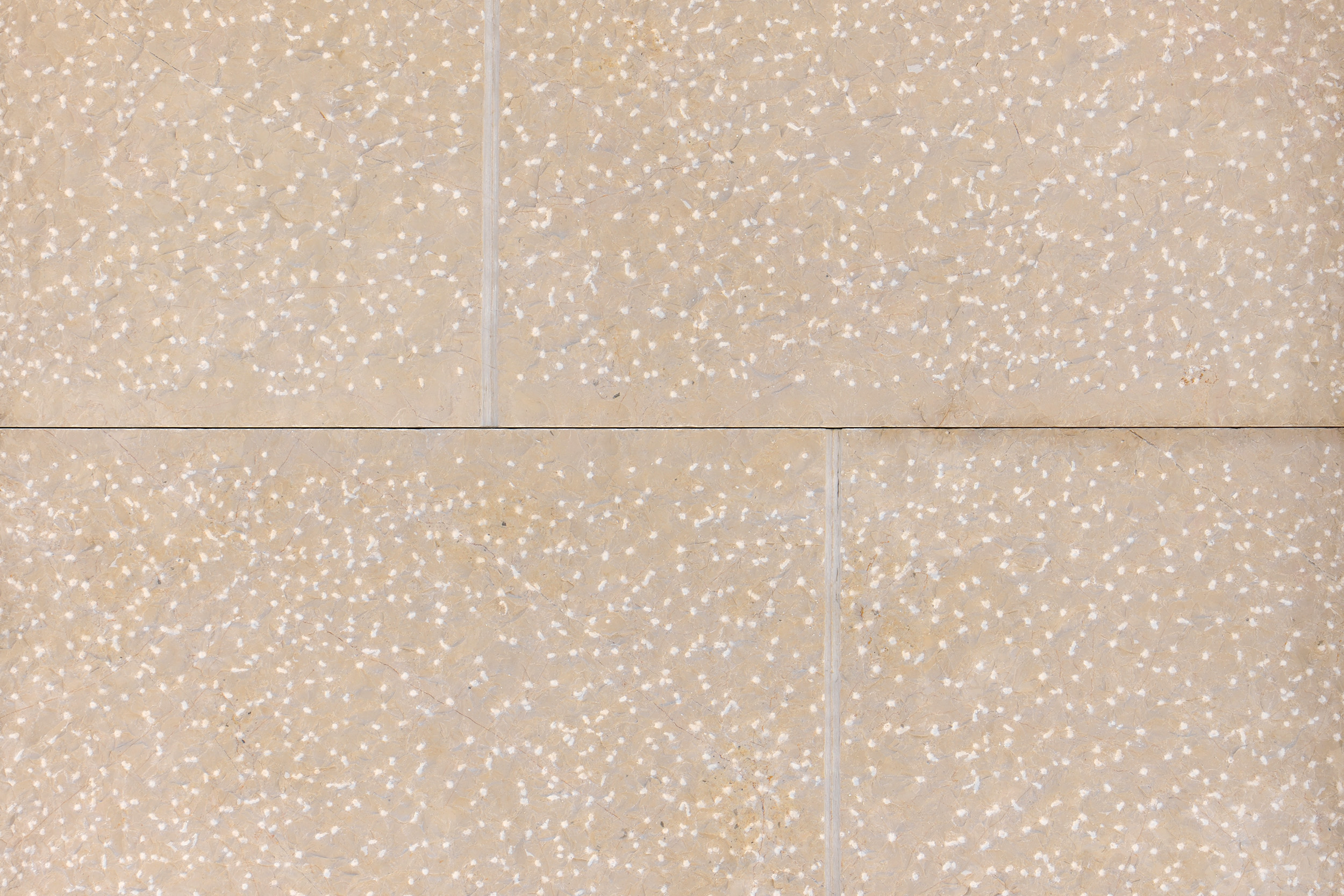 piconato-grosso-lanzetta-pietra-minervino