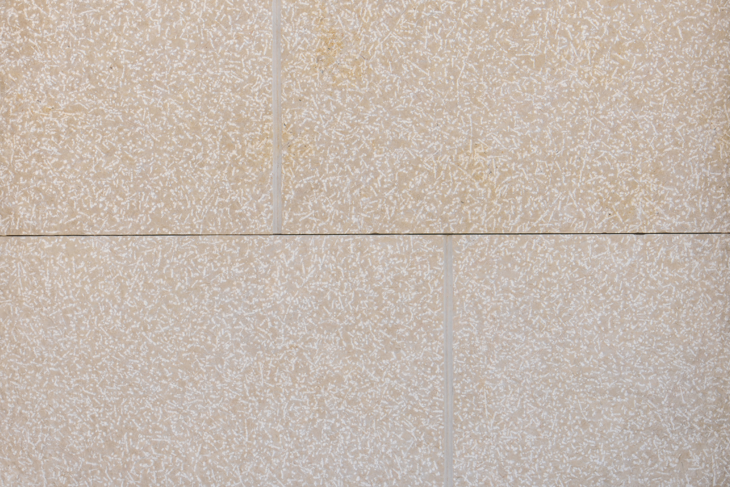 piconato-medio-lanzetta-pietra-minervino